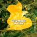 Dr. Kabiru Lead Land Revolution In Gombe State, Driving Unprecedented Transformation