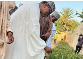 Combating Environmental Degradation In Jigawa