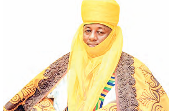 Hamza Suleiman Sadaukin Kasar Hausa