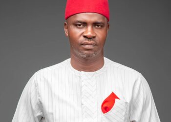 Court Affirms Egwu As PDP South-East Chairman