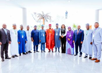 VP Shettima Urges NISO To Fix Electricity, National Grid Challenges