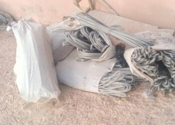 Police Arrest 2 Suspected Cable Thieves In Yobe