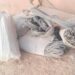 Police Arrest 2 Suspected Cable Thieves In Yobe