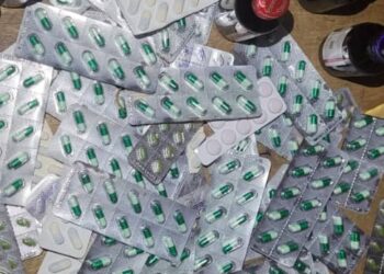 Police Arrest 5 Suspected Drug Dealers In Bauchi
