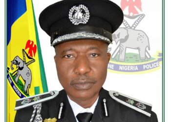 Police Meet Service Commanders, Council Chairmen Over Insecurity In Jigawa