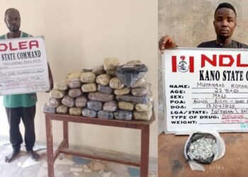 NDLEA Arrests Suspected Bandits’ Drug Suppliers In Kano