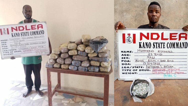 NDLEA Arrests Suspected Bandits' Drug Suppliers In Kano 1 NDLEA