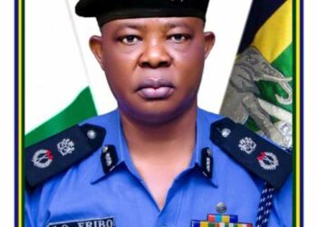 We Can Surpass UN Recommended Police, Citizens Ratio With Community Policing — Ekiti CP