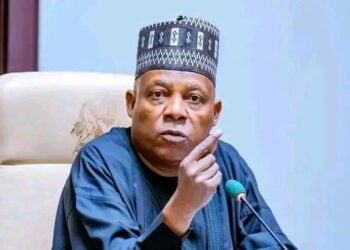 Nigeria Needs Private Sector In Health Reforms – Shettima
