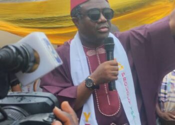 Anambra 2025: Chukwuma, Nweke Emerge As Candidates Of YPP, AA