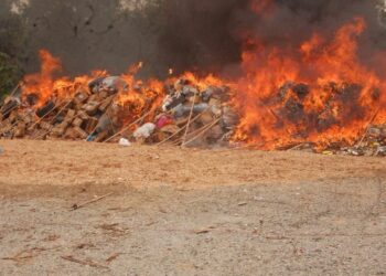 NDLEA Destroys Largest Seizure Of 1.6m Kilograms Illicit Drugs