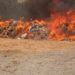 NDLEA Destroys Largest Seizure Of 1.6m Kilograms Illicit Drugs