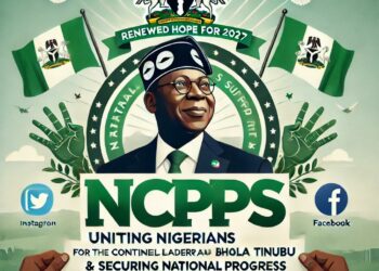 New Council Rallies Support For Tinubu’s 2027 Bid