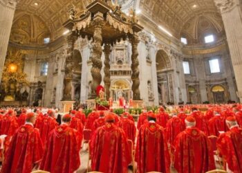 New Pope: 2 Catholic Cardinals To Miss Conclave Due To Illness — Vatican