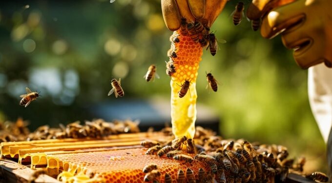 Honey Production