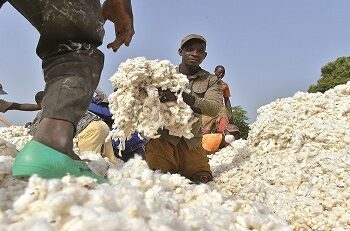 ‘Creation Of Cotton Board Will Pave Way For Nigeria’s Industrial Growth, Create Jobs’