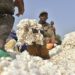 ‘Creation Of Cotton Board Will Pave Way For Nigeria’s Industrial Growth, Create Jobs’ 5 ‘Creation Of Cotton Board Will Pave Way For Nigeria’s Industrial Growth, Create Jobs’