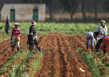 Federal Gov’t, IFAD Train 600 Farmers In Budgeting, Farming Techniques In Benue