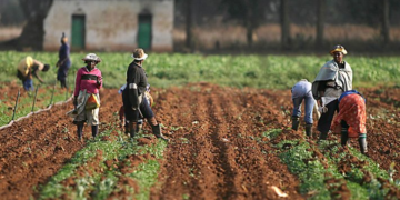 Lawan Federal Gov’t, IFAD Train 600 Farmers In Budgeting, Farming Techniques In Benue