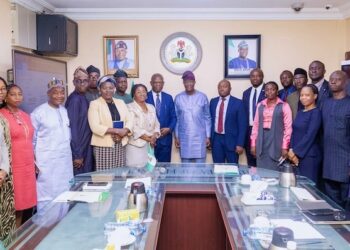 FG Launches ‘BisonFly Project’ To Cut Air Travel Costs In MDAs