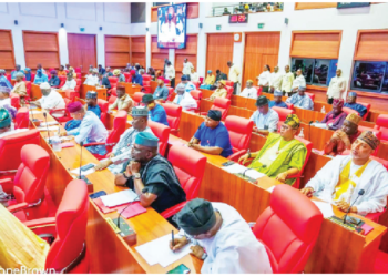 2027 Politicking: Concerns Over Fate Of Constitution Amendment Bills