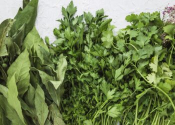 Nigeria Targets Net Exporter Status For Medicinal Plants, Others