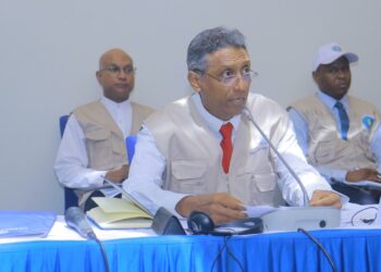 Commonwealth Observers Call For Increased Civic Participation, Commend Gabon’s Polls