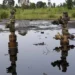 YEAC-Nigeria Reports Fresh Crude Oil Spill in Rivers