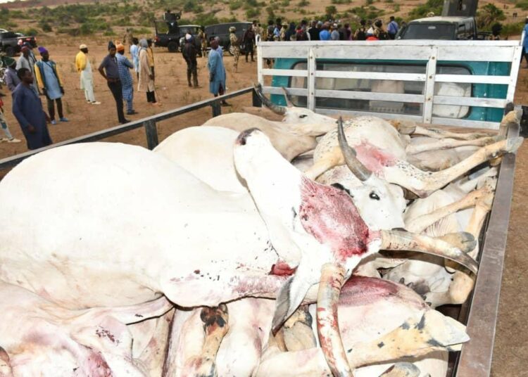 Cattle Poisoning