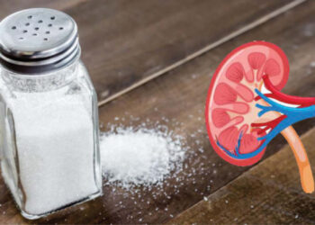 Salt And Your Kidneys: What You Need To Know About Sodium’s Impact