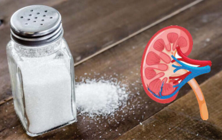 Salt And Your Kidneys