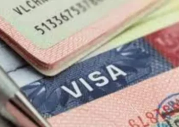 e-Visa: Federal Gov’t Introduces Automated Landing, Exit Card For Foreign Passengers