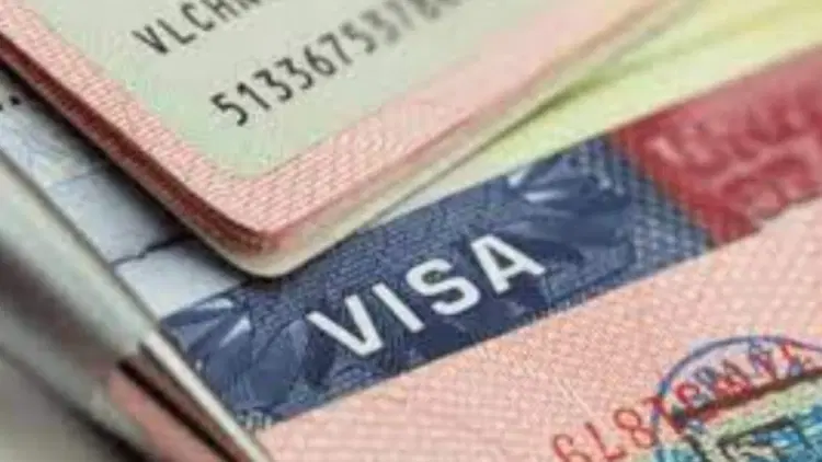 e-Visa: Federal Gov't Introduces Automated Landing, Exit Card For Foreign Passengers 1 va