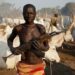 Ochi’Idoma, Tor Tiv Give Herders 14-day Ultimatum To Vacate 5 Ochi’Idoma, Tor Tiv Give Herders 14-day Ultimatum To Vacate