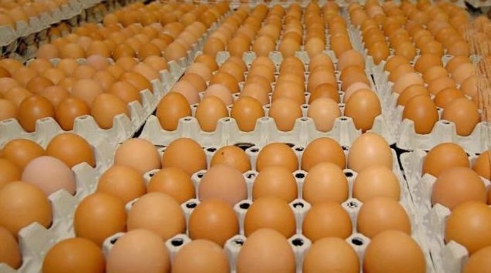 Poultry Farmers Decry Drop In Egg Purchase 1 20250525 154011