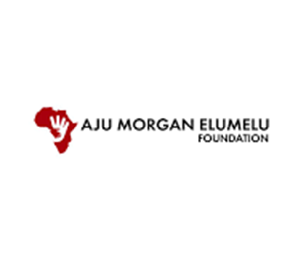 AJU Morgan Elumelu Foundation