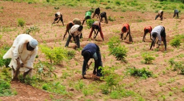 Benue farmers