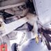 Lagos Airport Ranks Highest In Bird Strike Incidents – NCAA