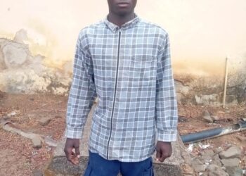 Court Sentences Vandal To 2 Years In Imprisonment
