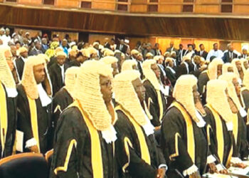 Amid Calls For Reforms: Lawyers Lament Delays In Judicial Trials