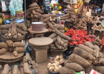 22 Months After: State Of Emergency On Food Security Not Yielding Results