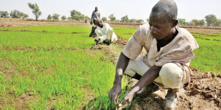 agri-msmes