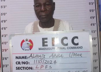 EFCC Arraigns Man For N1.6m Fraud In Maiduguri