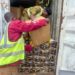 N3.4bn Opioids Seized In Lagos, Port Harcourt As NDLEA Uncovers Drugs In Chocolate Tins