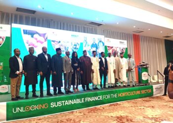 HortiNigeria, NIRSAL Partner To Expand Access To Horticultural Finance