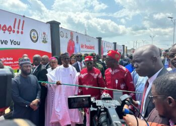 Anyaoku, Emeka Offor, Ohanaeze Beg For Tinubu To Support Soludo’s Re-election