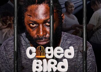 NGO To Premiere ‘Caged Bird’ Film On Nigeria’s Justice System
