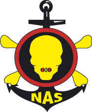 NAS Tasks FG On Poverty Eradication, Economic Growth 1 NAS logo