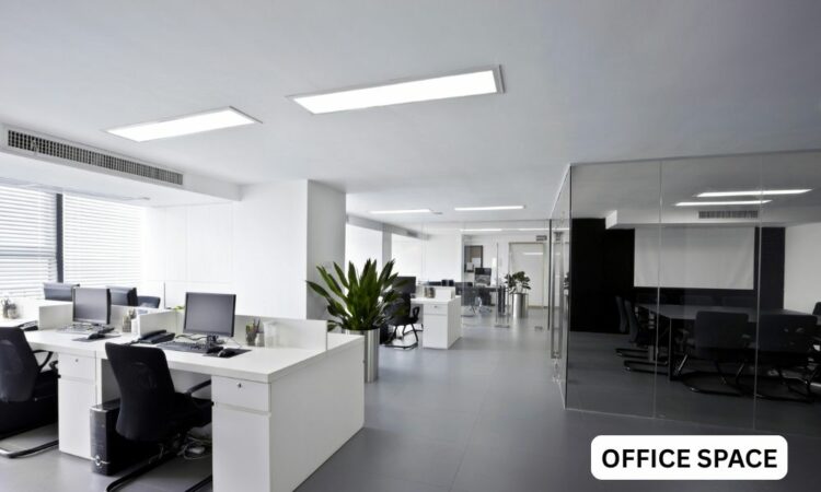 ceo-hr