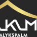 Palykspalm Expands Investments Into Nigeria’s Real Estate Market